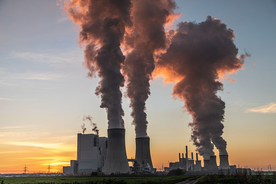 CO2: un antidoto diventato veleno